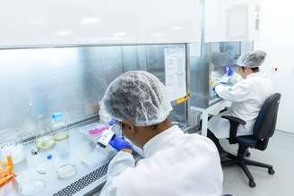 Alunos da Escola Senai de Biotecnologia durante aula de análises microbiológicas; número de matrículas na educação profissional no Brasil cresceu 23,7% em um ano.