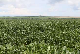 Alckmin diz que demanda logística vai crescer com safra do agro e avanço das exportações.