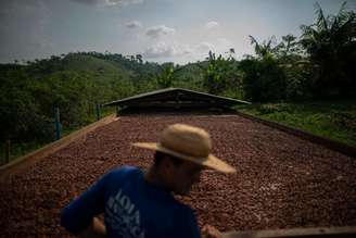 Agropecuária teve crescimento de 11,7% em 2025