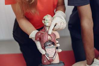 Estudo de medicina e anatomia 