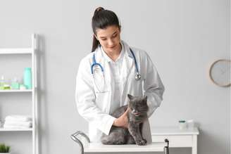 O monitoramento frequente e o acompanhamento com nefrologistas são os maiores aliados para a longevidade do animal