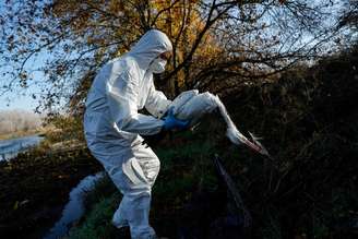 Paciente está internado em Monza e teria contraído doença na África