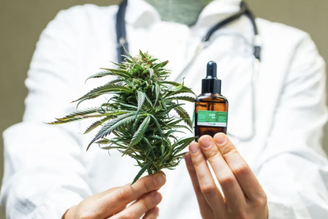 É verdade que ainda não há consenso médico-científico sobre a extensão dos benefícios médicos da Cannabis, mas isso não deve ser um empecilho para o desenvolvimento de um campo que já se tornou bastante concreto e com inúmeros casos de melhoras clínicas.