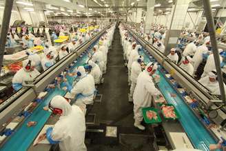 MBRF tem sete unidades no Paraná, com produção de aves, suínos, processados, perus, margarinas e pet food