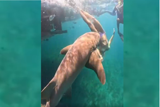 Tayane levou dois pontos, mas não teve complicações