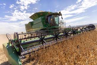 Projeção para a colheita da soja é de 173,7 milhões de toneladas
