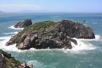 O Arquipélago de Moleques do Sul é um verdadeiro refúgio natural próximo a Florianópolis. Rico em biodiversidade, abriga espécies importantes e preserva um ecossistema valioso.