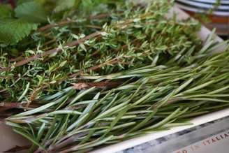 Valeria Buianova/Shutterstock