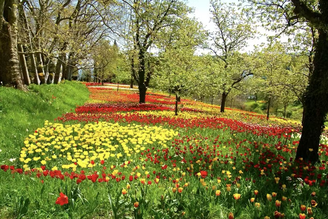 Canteiros de flores e cercas vivas delimitando plantações são refúgios para polinizadores.