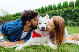 Guarda compartilhada requer atenção e dedicação dos tutores para manter o bem-estar dos pets