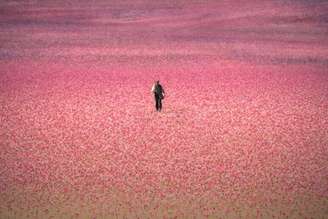 'A Casa dos Espíritos' narra a história de 3 gerações de mulheres em um século