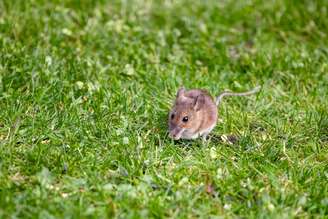 Jane Rix/Shutterstock