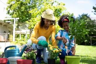 Maio favorece o cultivo de flores e hortaliças