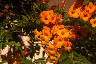 Cindy.R_photographer/Shutterstock