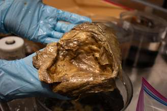 Esfera misteriosa foi oficialmente adesada como parte do Coleção de Zoologia Invertebrada do site no Museu Nacional de História Natural da Smithsonian Institution, nos Estados Unidos