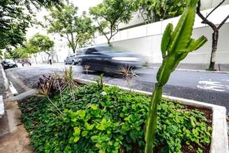 Áreas destinadas ao estacionamento de veículos deverão ser transformadas em espaços permeáveis e arborizados.