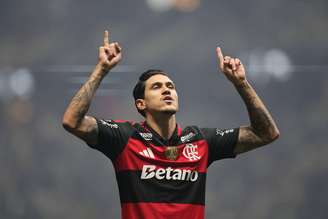 As odds indicam Pedro como favorito para a artilharia do Brasileirão 2026