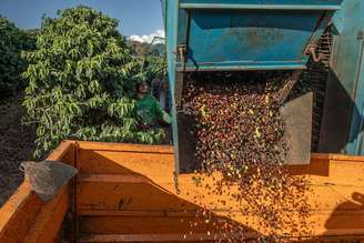 Para cafés verde, torrado e solúvel, com alíquota atual variando de 7,5% a 11%, a retirada das tarifas ocorrerá em um período de quatro a sete anos