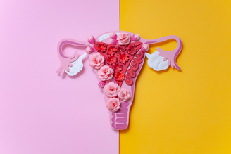 Planejamento da maternidade tem levado mais mulheres a considerar o congelamento de óvulos