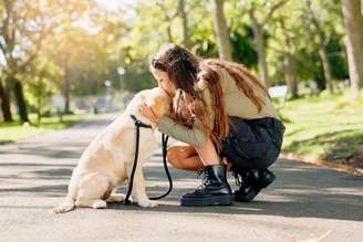 Observar os sinais do cachorro durante os passeios é importante, pois a resistência pode indicar desde fatores emocionais até desconfortos físicos