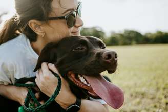Animais machos ou provenientes de abrigos têm maior probabilidade de sentir ansiedade quando estão sozinhos.
