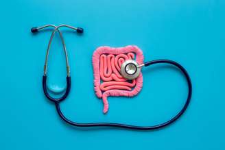 O intestino exerce papel fundamental na imunidade, na absorção de nutrientes e na qualidade de vida.