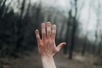 Imagem | Andrik Langfield (Unsplash)