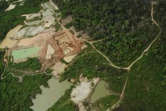 Cerca de 5 mil hectares da Amazônia foram destruídos por mineração ilegal