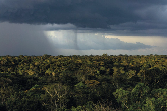 Chuvas na Amazônia: estudo om participação de pesquisadores de cinco países investigou como as mudanças climáticas globais e os padrões regionais de uso da terra interagem para influenciar os padrões de precipitação na região sul do bioma até o ano de 2050.