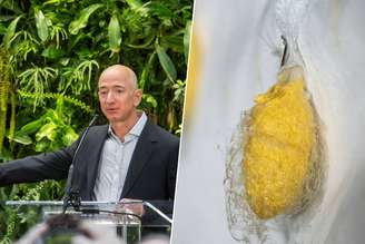 Jeff Bezos