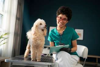 Um histórico veterinário organizado pode ajudar na prevenção de doenças, no diagnóstico precoce e na tomada de decisões mais seguras em situações de urgência
