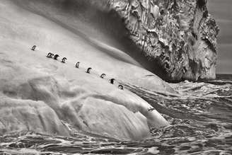 Fotografia icônica de Salgado que integrará exposição em Bassano del Grappa