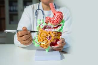 Entender a diferença entre intestino irritável e intestino permeável é essencial para evitar tratamentos inadequados