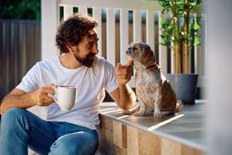 Conquistar a confiança do cachorro é um dos passos mais importantes para garantir o bem-estar do animal