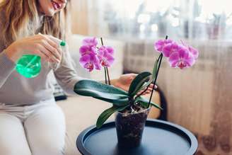 Mariia Boiko/Shutterstock