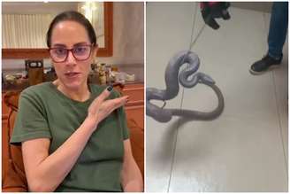 Silvia Abravanel encontra cobra desaparecida há 5 meses em local inusitado