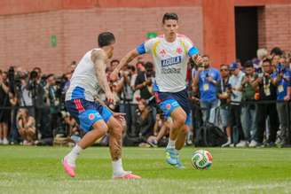 Equipe chegou a realizar exercícios em campo, mas precisou interromper atividade 
