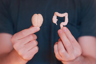 Conexão direta entre cérebro e intestino é capaz de influenciar a digestão, o trânsito intestinal e até a composição da microbiota