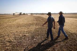 Ampliação de recursos para financiar médios produtores foi uma das prioridades no Plano Safra atual, segundo o Ministério da Agricultura