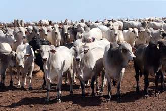 Exportação de carne bovina é uma das principais afetadas pela regra da UE