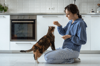 Estar atento a detalhes na rotina dos gatos ajuda a identificar possíveis alterações na saúde