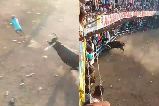 Homem morre após levar chifradas e ter pulmão perfurado por touro durante festa na Colômbia