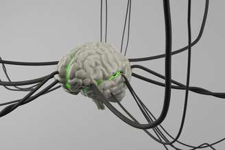 Nazareth Castellanos, neurocientista: