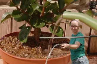 Jardineiros especialistas concordam: “regar as plantas às três da tarde é como despejar um balde de água fervente sobre elas”