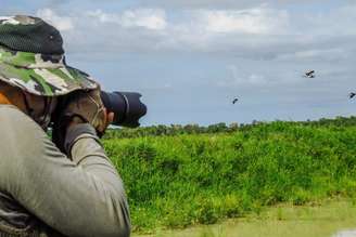 Viajar longas distâncias apenas para observar um pássaro por alguns instantes pode parecer um hábito incomum, mas essa prática reúne milhões de adeptos em diferentes partes do planeta. Conhecida como "birdwatching", a observação de aves conquistou espaço entre as principais modalidades do turismo de natureza. Conheça mais a seguir!