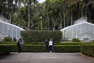 Instituto de Botânica funcionava dentro do Jardim Botânico e desenvolvia pesquisas sobre plantas e sementes.