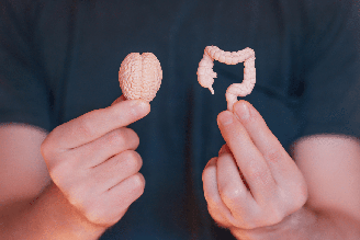 Relação entre cérebro intestino ajuda a explicar por que períodos de maior estresse, ansiedade e tensão emocional podem provocar alterações digestivas