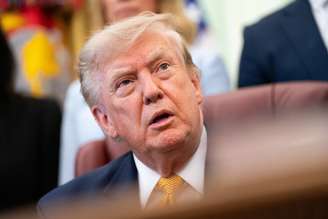 Trump aplicou medida contra diplomata Maria Luiza Ribeiro Viotti