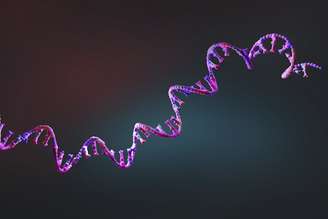 Os medicamentos de mRNA oferecem vantagens significativas em relação aos remédios tradicionais, pois são facilmente programáveis e é possível produzir centenas de quilos de mRNA a partir de matrizes de DNA. Christoph Burgstedt/Science Photo Library via Getty Images