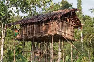 Na região de Papua, na Indonésia, o povo Korowai tornou-se conhecido por suas tradicionais casas construídas no alto das árvores, algumas chegando a dezenas de metros do chão. As estruturas utilizam árvores resistentes como sustentação, além de galhos, casca de palmeira-sagu, folhas e amarrações de ratã.